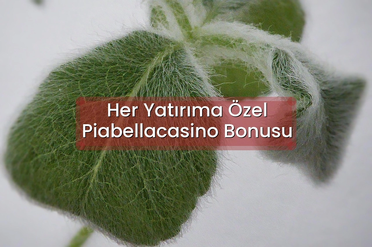 Her Yatırıma Özel Piabellacasino Bonusu